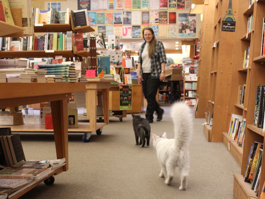 Copperfield's Books cats